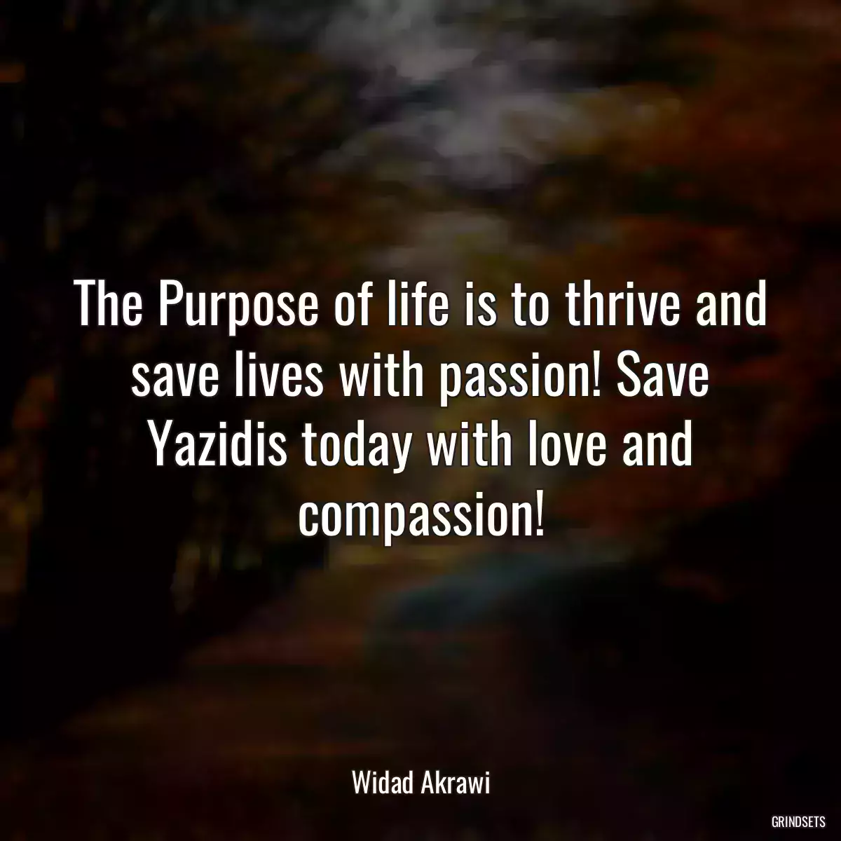 The Purpose of life is to thrive and save lives with passion! Save Yazidis today with love and compassion!