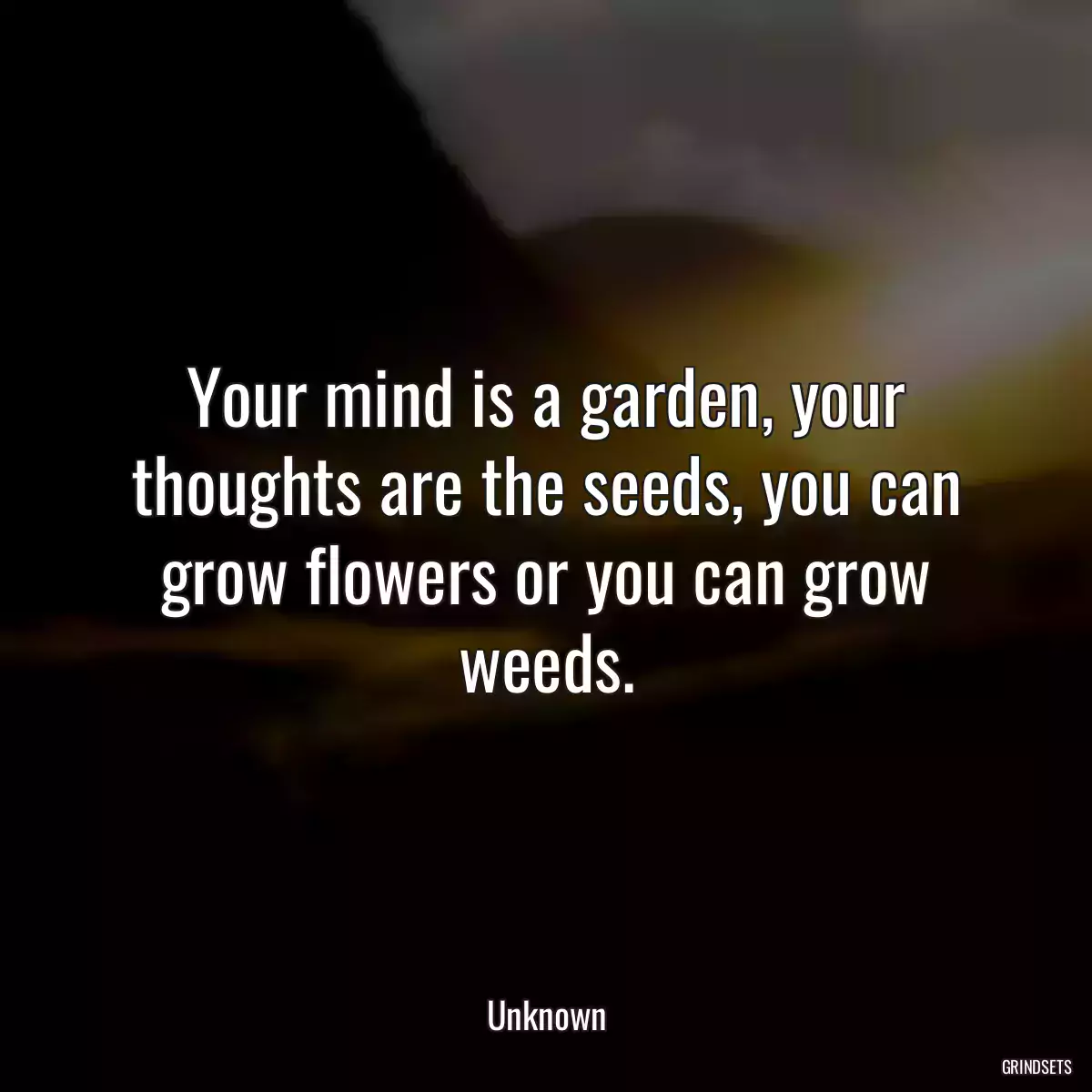 Your mind is a garden, your thoughts are the seeds, you can grow flowers or you can grow weeds.