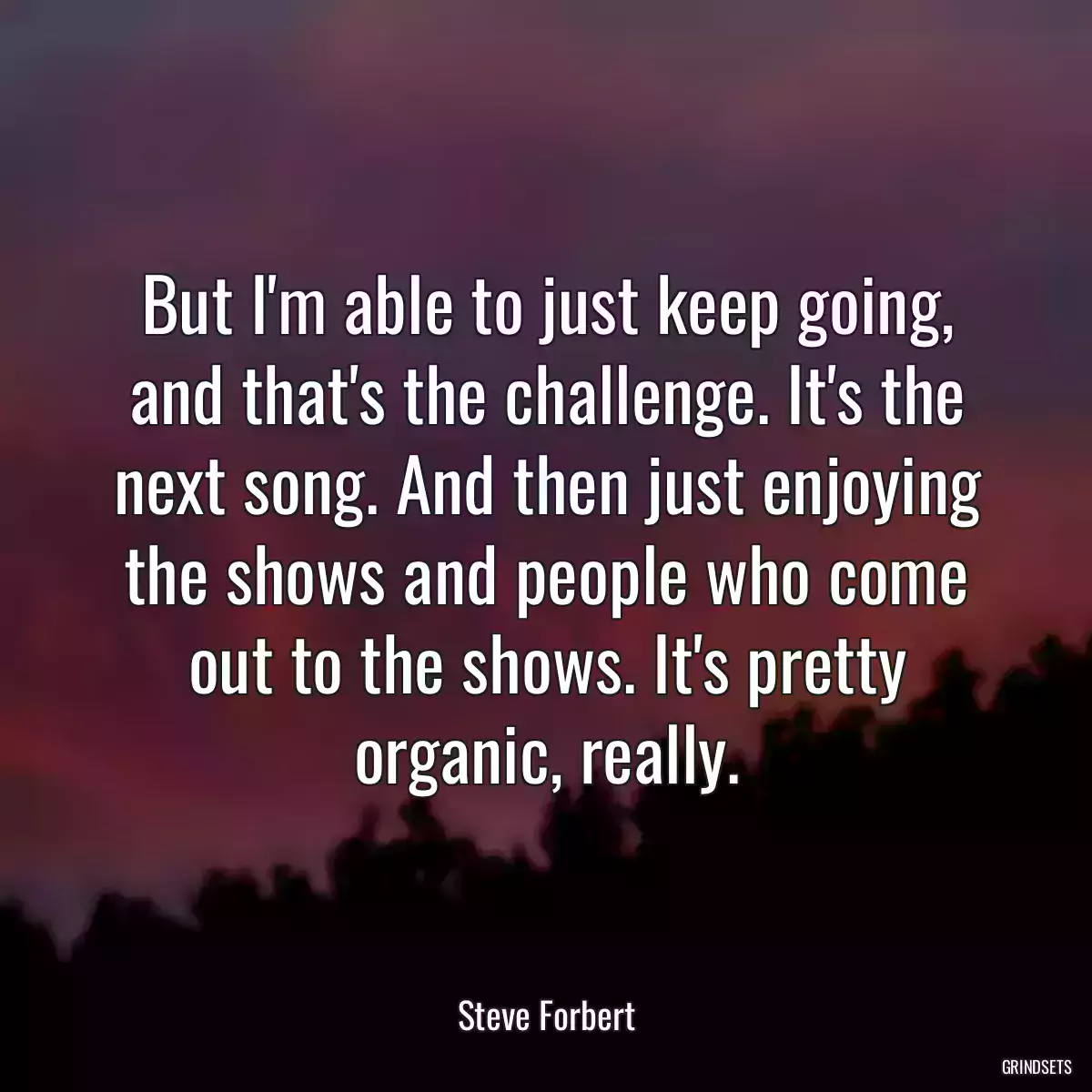 But I\'m able to just keep going, and that\'s the challenge. It\'s the next song. And then just enjoying the shows and people who come out to the shows. It\'s pretty organic, really.