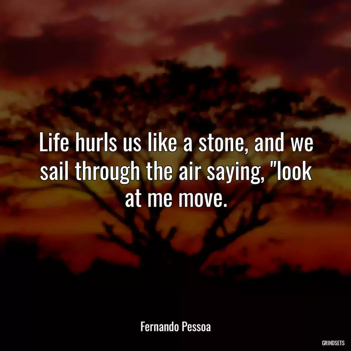 Life hurls us like a stone, and we sail through the air saying, \