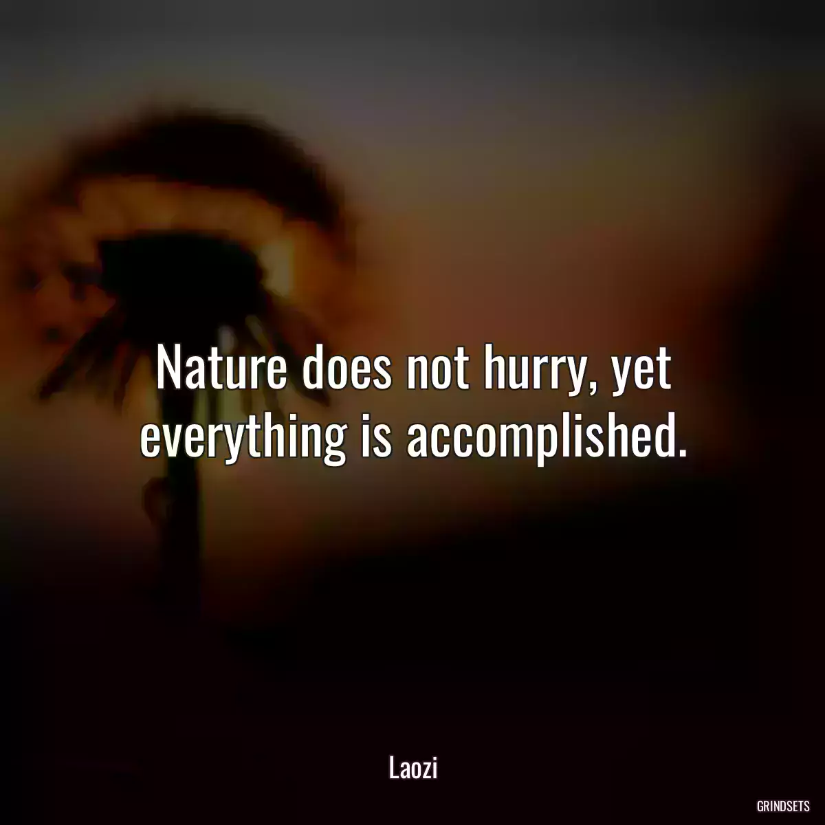 Nature does not hurry, yet everything is accomplished.