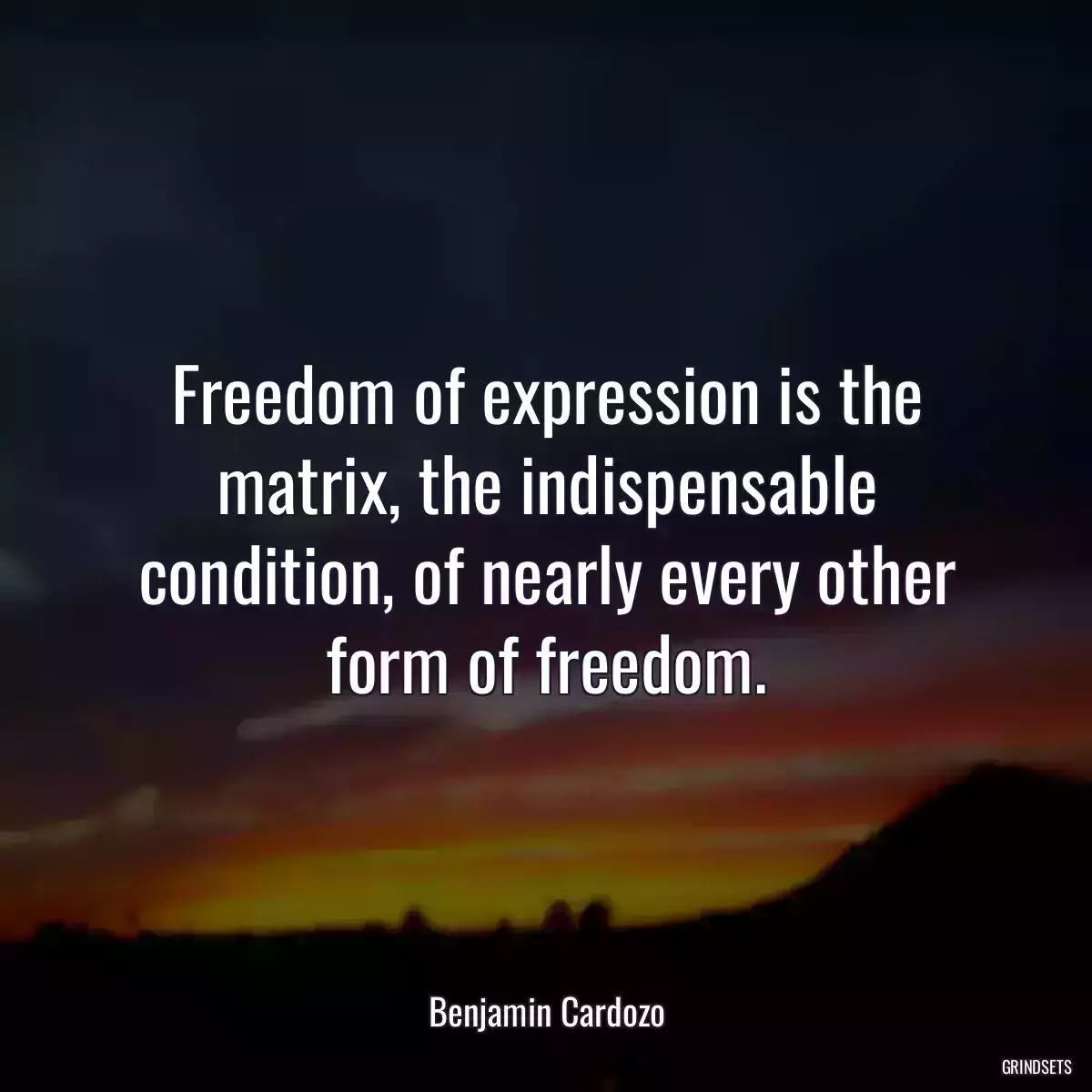 Freedom of expression is the matrix, the indispensable condition, of nearly every other form of freedom.