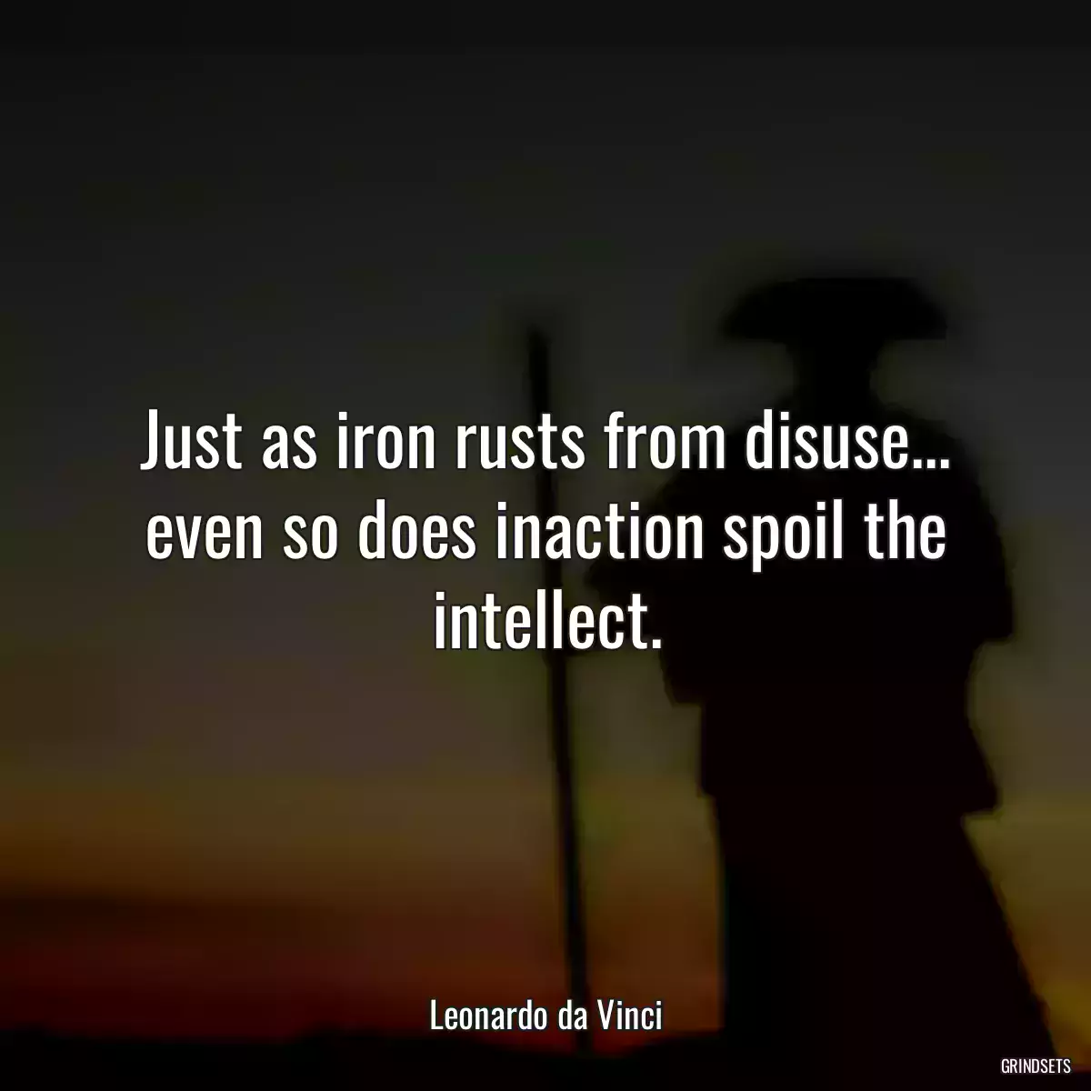 Just as iron rusts from disuse... even so does inaction spoil the intellect.