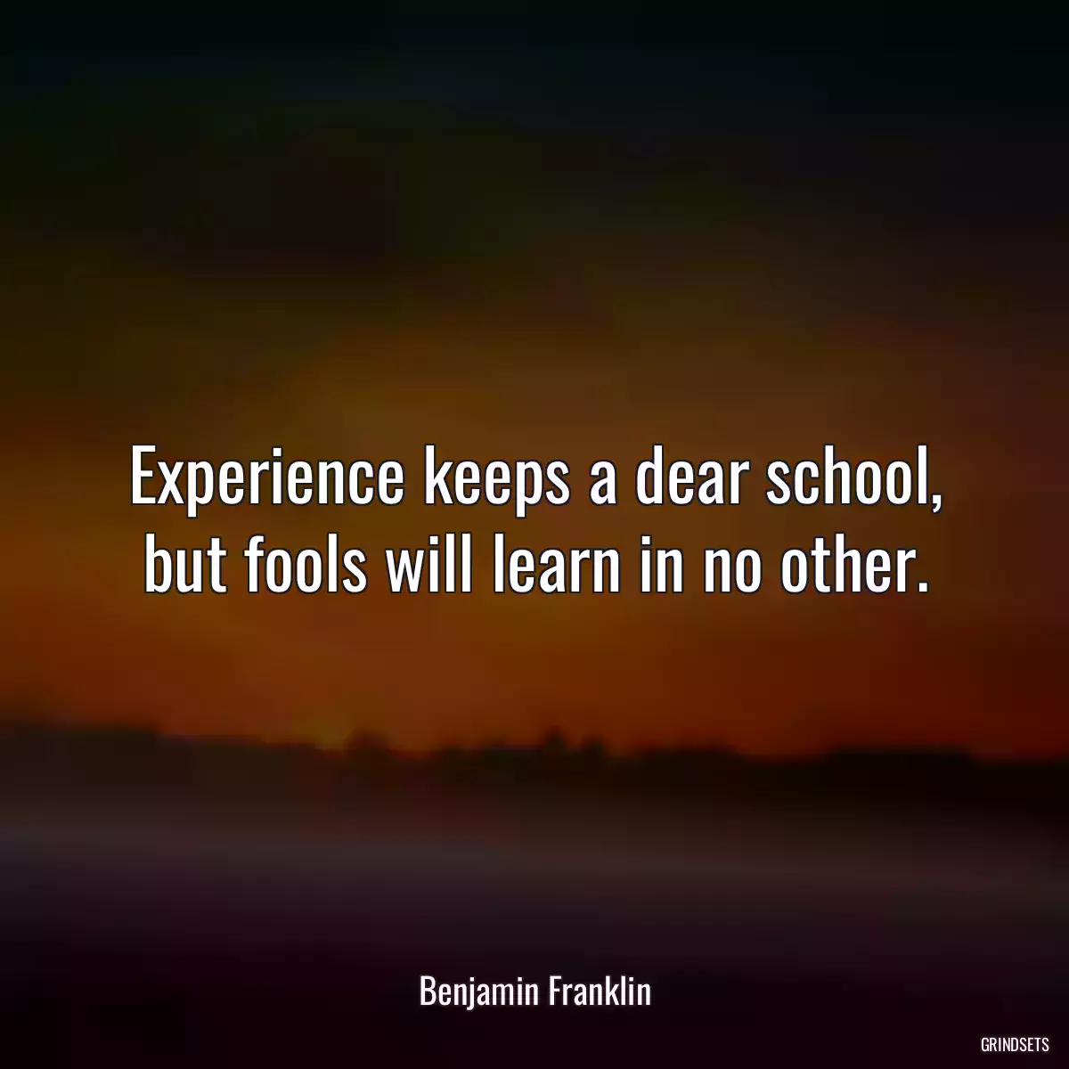 Experience keeps a dear school, but fools will learn in no other.