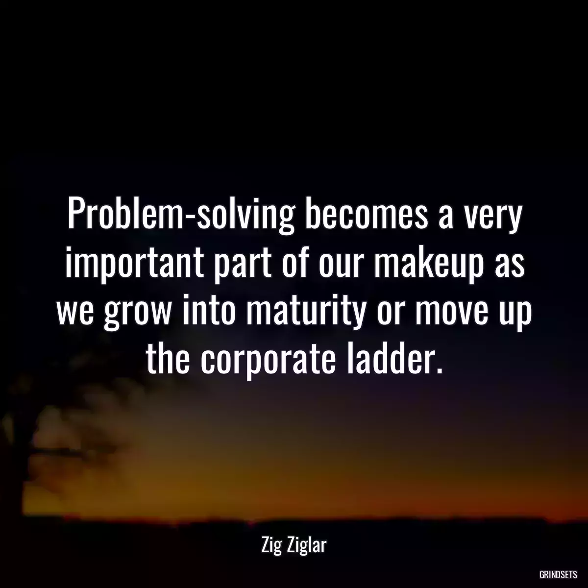 Problem-solving becomes a very important part of our makeup as we grow into maturity or move up the corporate ladder.