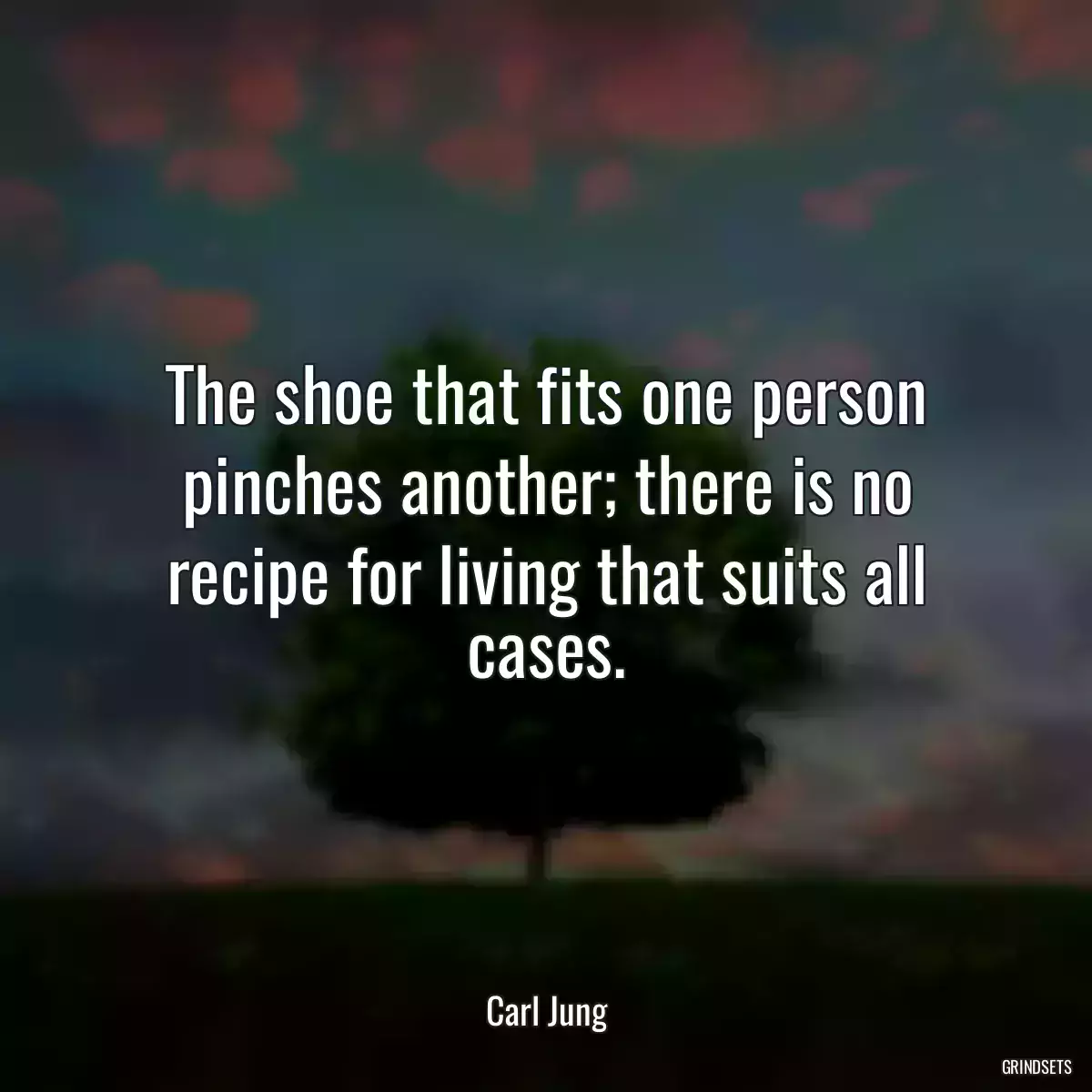 The shoe that fits one person pinches another; there is no recipe for living that suits all cases.