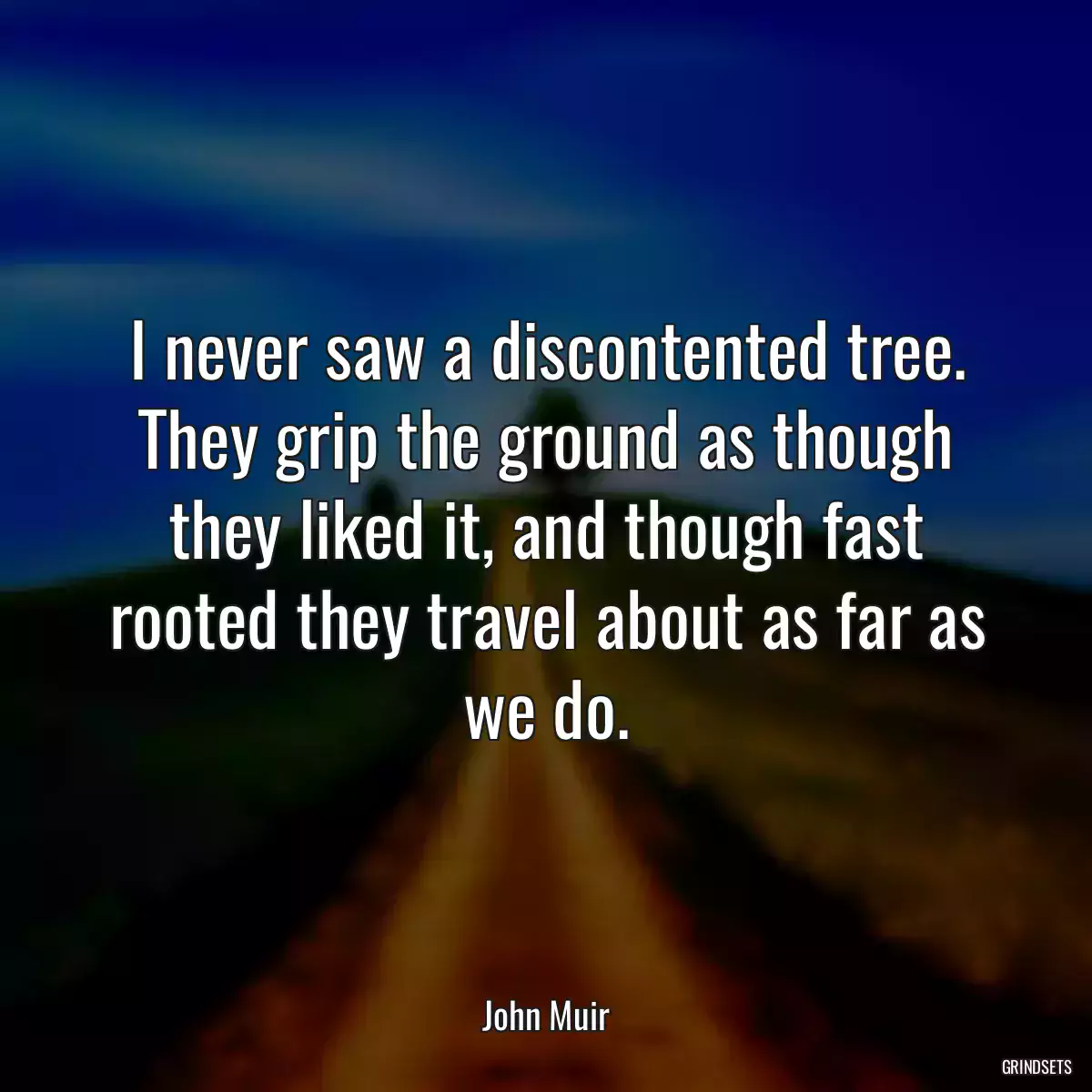 I never saw a discontented tree. They grip the ground as though they liked it, and though fast rooted they travel about as far as we do.