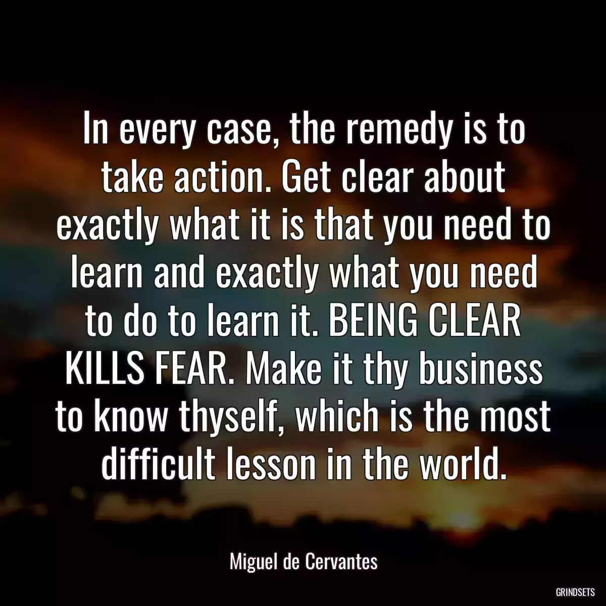 In every case, the remedy is to take action. Get clear about exactly what it is that you need to learn and exactly what you need to do to learn it. BEING CLEAR KILLS FEAR. Make it thy business to know thyself, which is the most difficult lesson in the world.