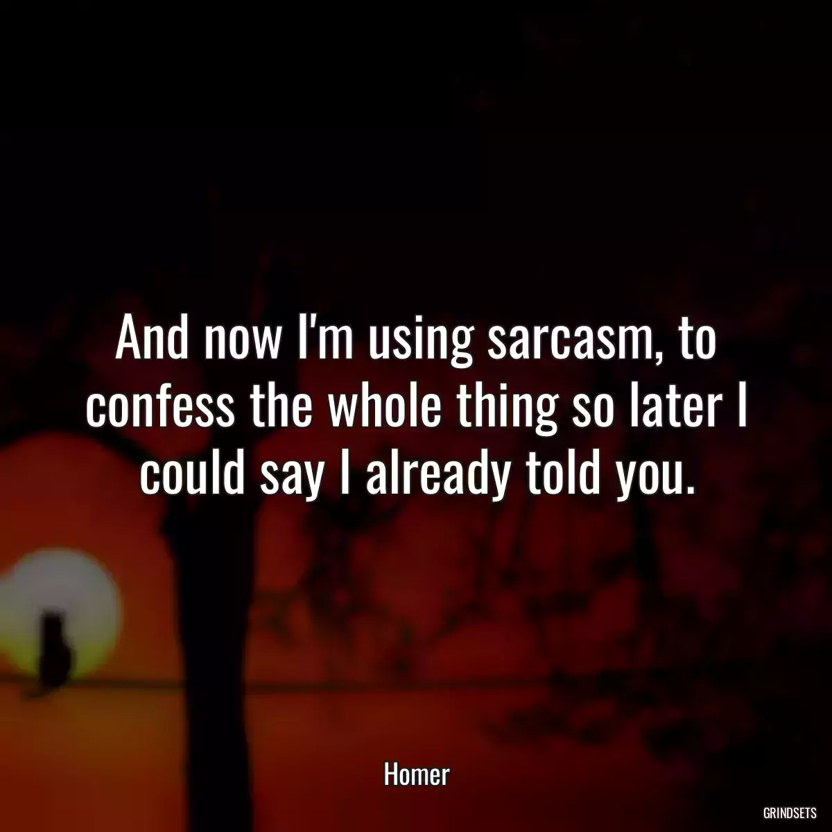 And now I\'m using sarcasm, to confess the whole thing so later I could say I already told you.