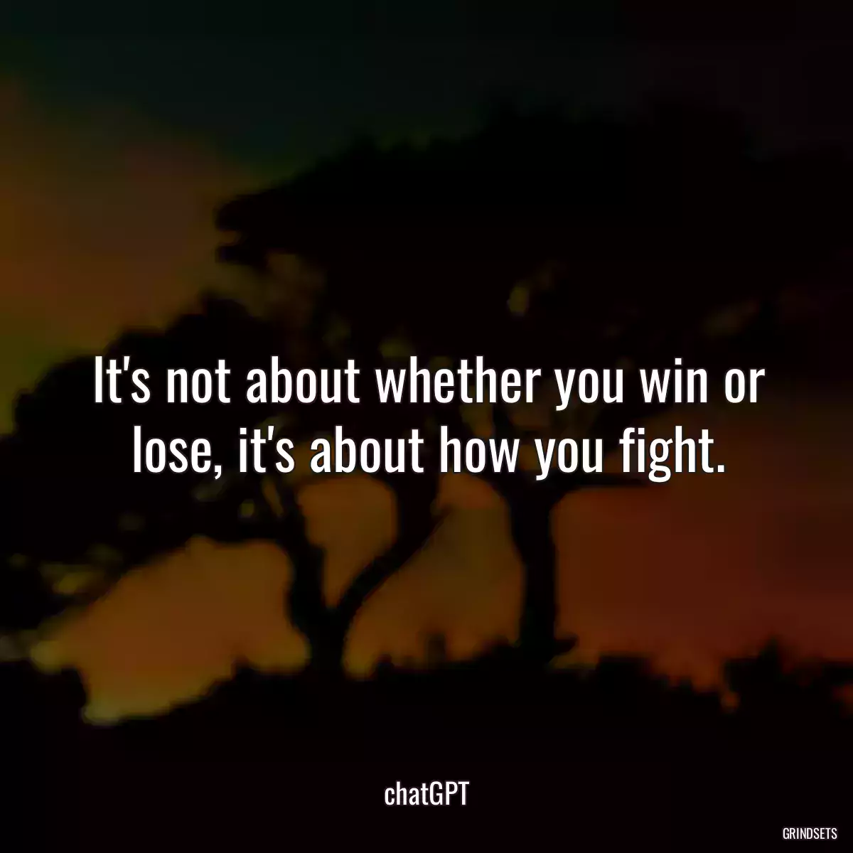 It\'s not about whether you win or lose, it\'s about how you fight.