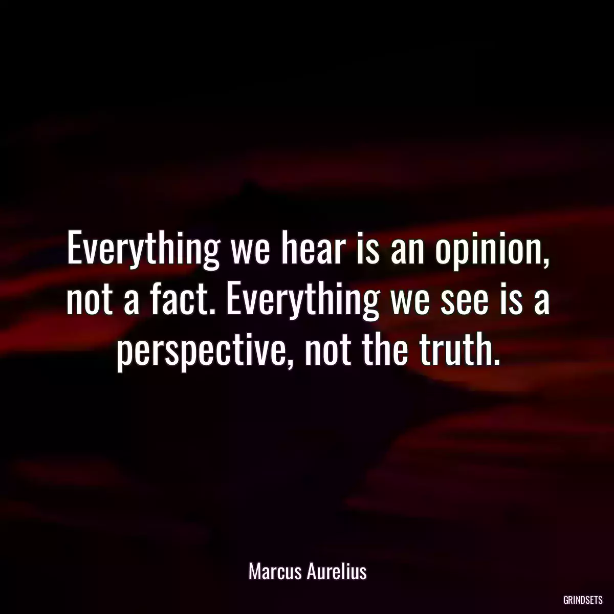 Everything we hear is an opinion, not a fact. Everything we see is a perspective, not the truth.