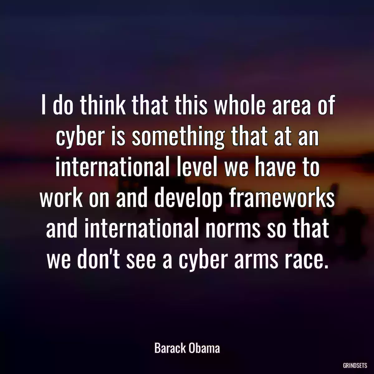 I do think that this whole area of cyber is something that at an international level we have to work on and develop frameworks and international norms so that we don\'t see a cyber arms race.