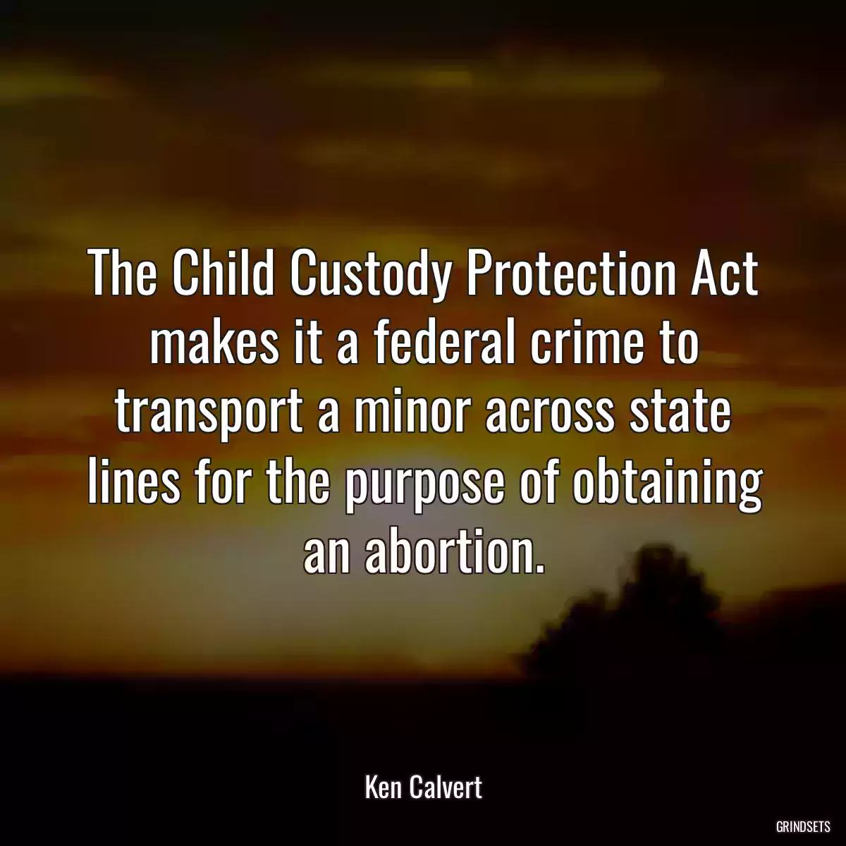 The Child Custody Protection Act makes it a federal crime to transport a minor across state lines for the purpose of obtaining an abortion.