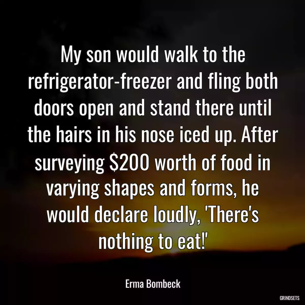 My son would walk to the refrigerator-freezer and fling both doors open and stand there until the hairs in his nose iced up. After surveying $200 worth of food in varying shapes and forms, he would declare loudly, \'There\'s nothing to eat!\'