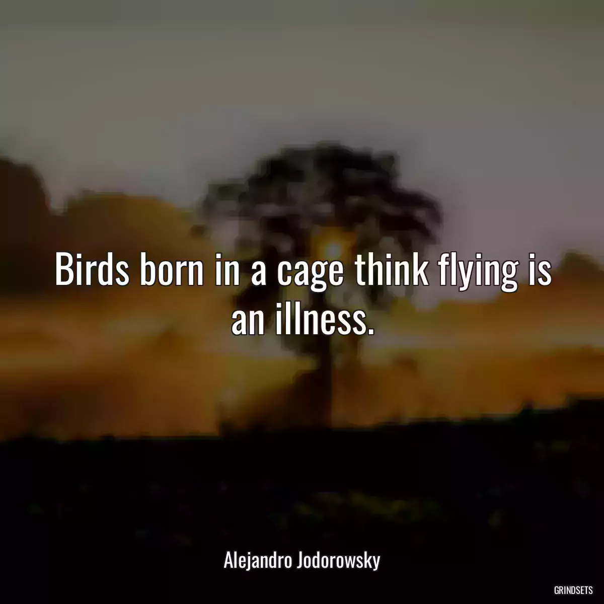 Birds born in a cage think flying is an illness.