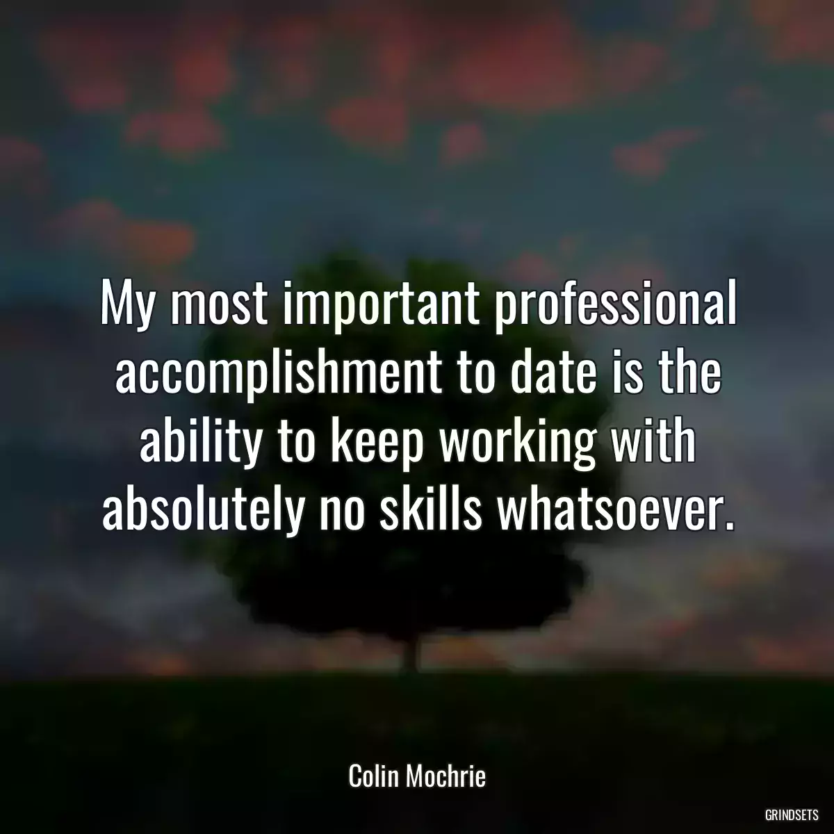 My most important professional accomplishment to date is the ability to keep working with absolutely no skills whatsoever.