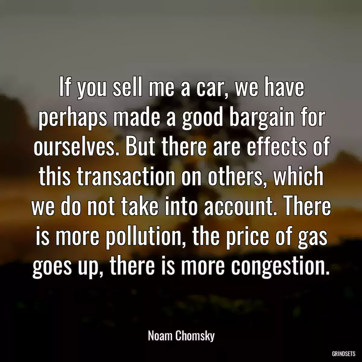 If you sell me a car, we have perhaps made a good bargain for ourselves. But there are effects of this transaction on others, which we do not take into account. There is more pollution, the price of gas goes up, there is more congestion.