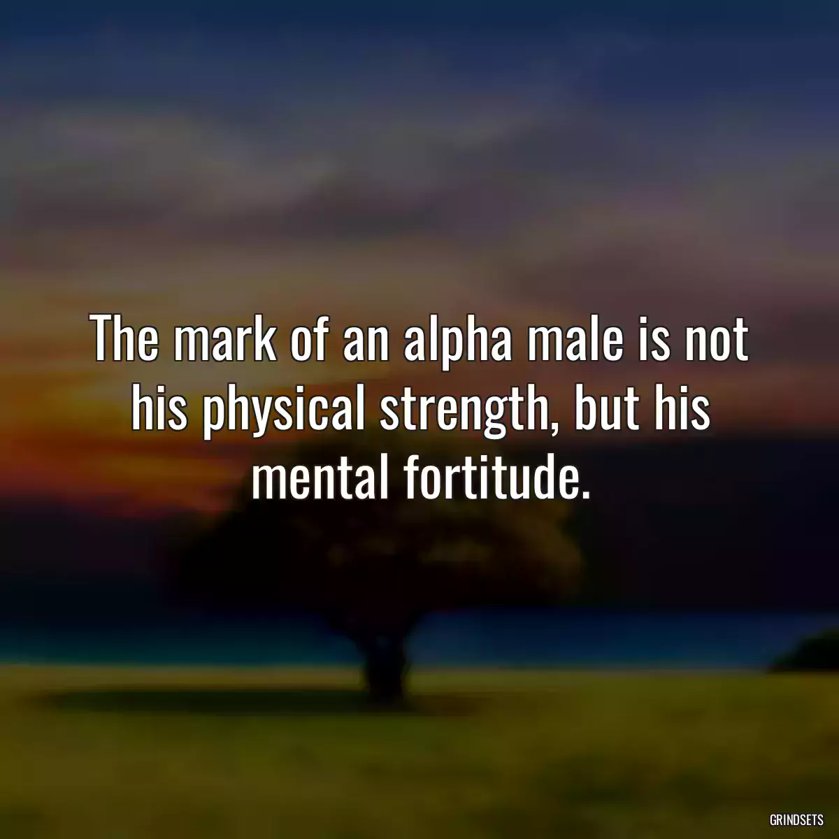 The mark of an alpha male is not his physical strength, but his mental fortitude.