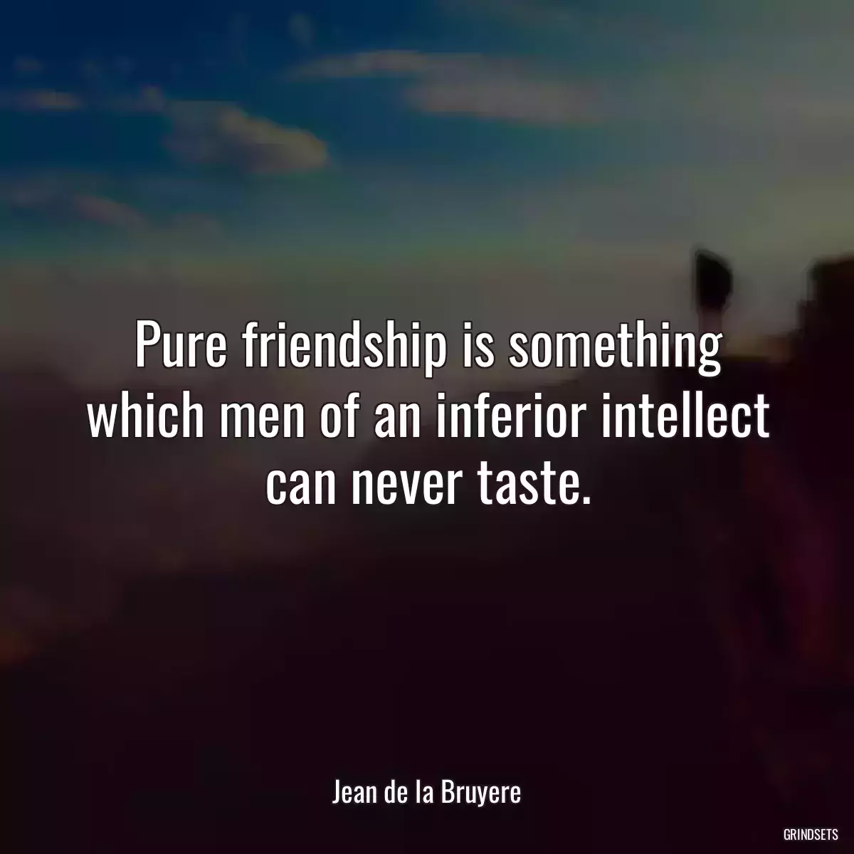 Pure friendship is something which men of an inferior intellect can never taste.