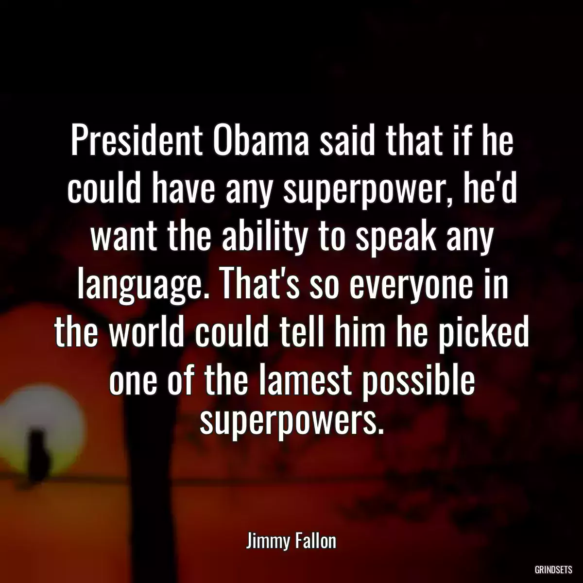 President Obama said that if he could have any superpower, he\'d want the ability to speak any language. That\'s so everyone in the world could tell him he picked one of the lamest possible superpowers.