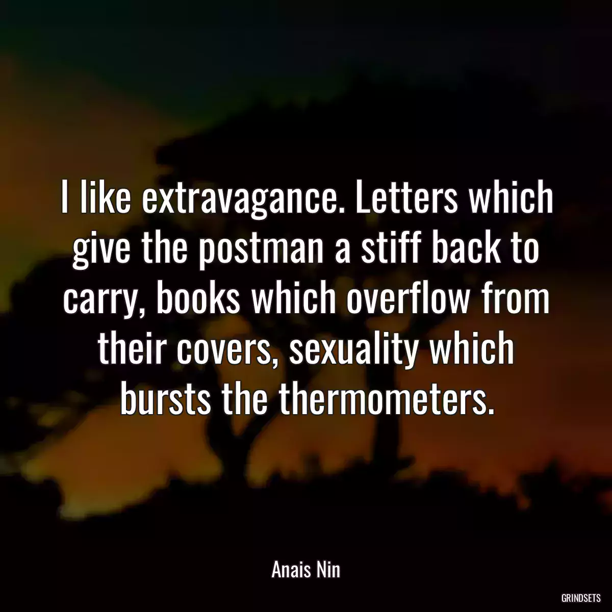 I like extravagance. Letters which give the postman a stiff back to carry, books which overflow from their covers, sexuality which bursts the thermometers.