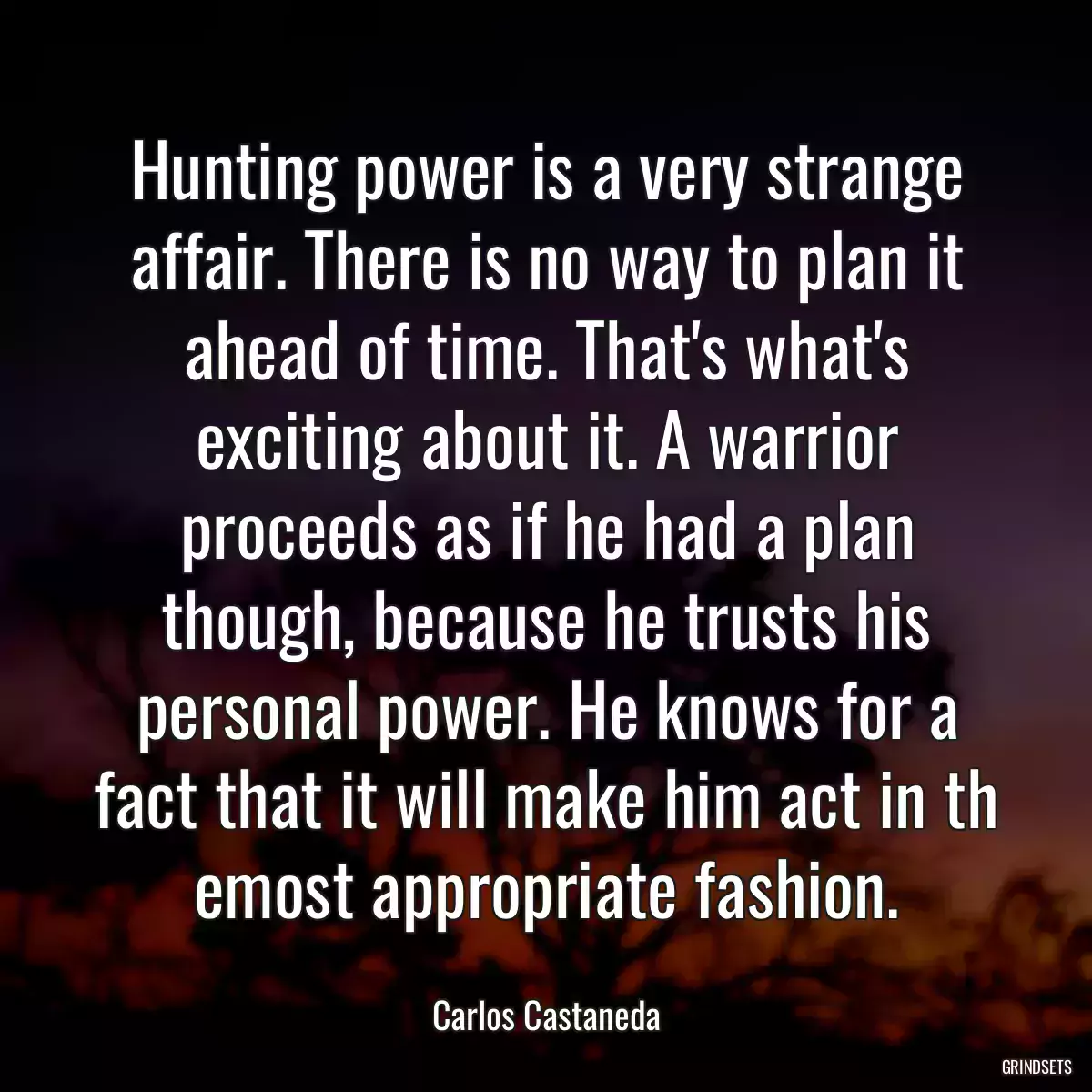 Hunting power is a very strange affair. There is no way to plan it ahead of time. That\'s what\'s exciting about it. A warrior proceeds as if he had a plan though, because he trusts his personal power. He knows for a fact that it will make him act in th emost appropriate fashion.