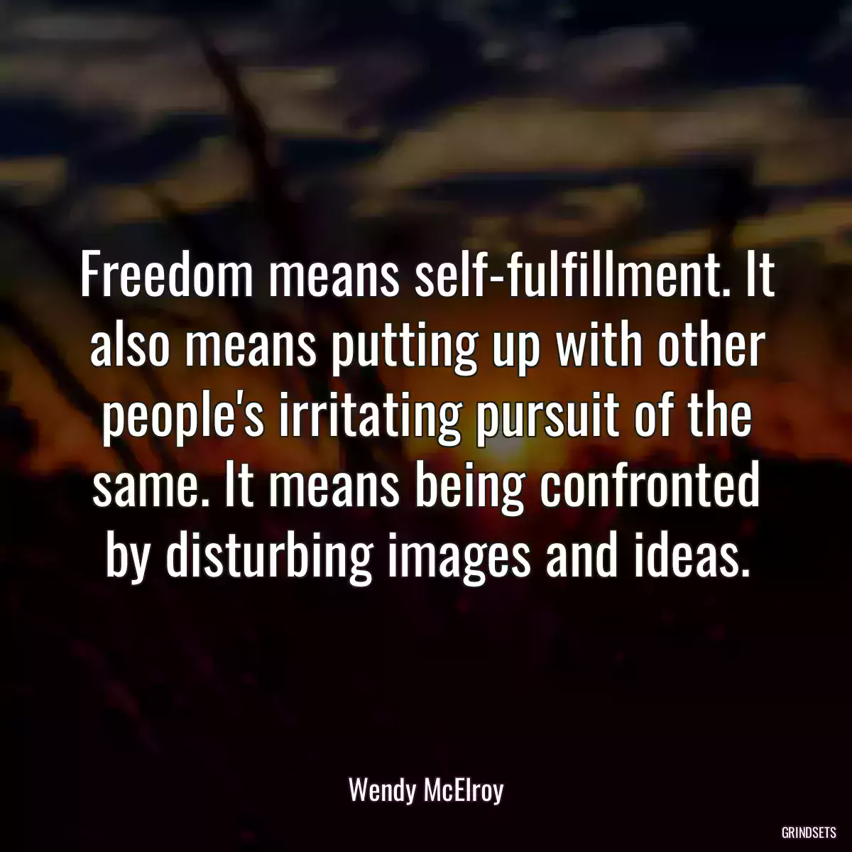 Freedom means self-fulfillment. It also means putting up with other people\'s irritating pursuit of the same. It means being confronted by disturbing images and ideas.