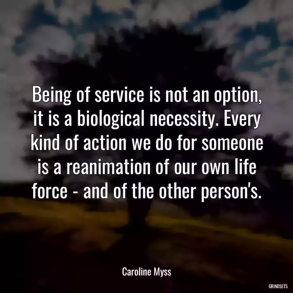 Being of service is not an option, it is a biological necessity. Every kind of action we do for someone is a reanimation of our own life force - and of the other person\'s.