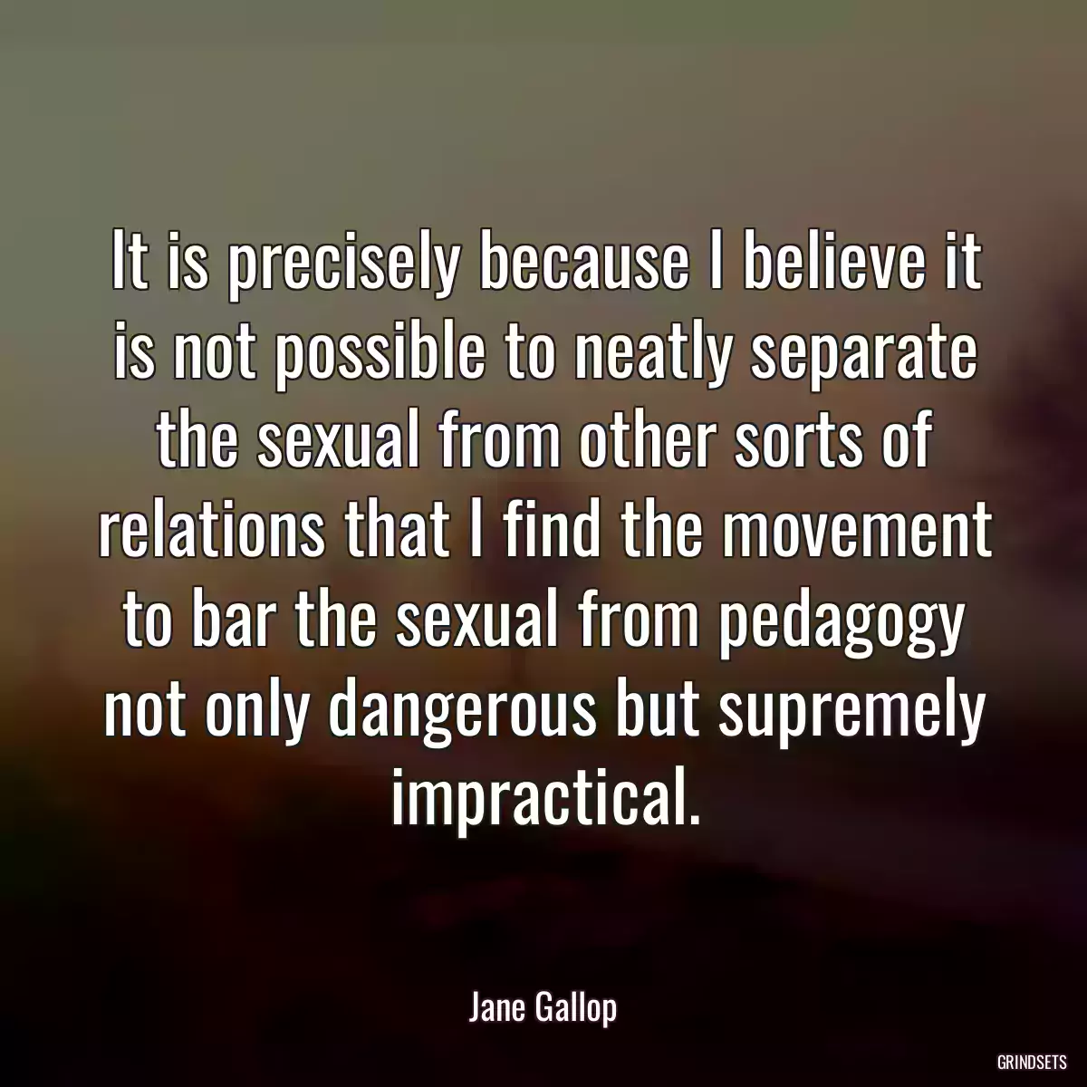 It is precisely because I believe it is not possible to neatly separate the sexual from other sorts of relations that I find the movement to bar the sexual from pedagogy not only dangerous but supremely impractical.