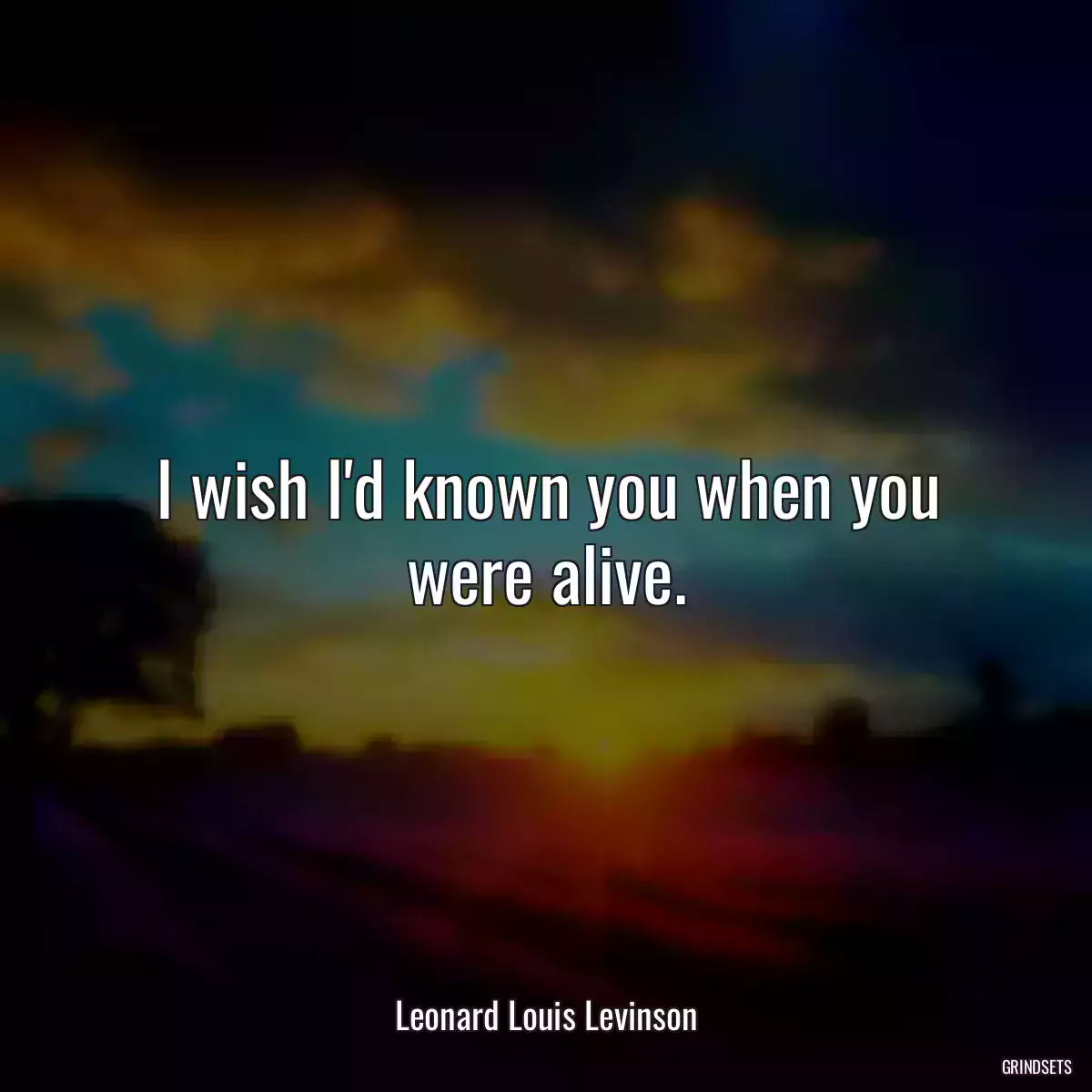 I wish I\'d known you when you were alive.