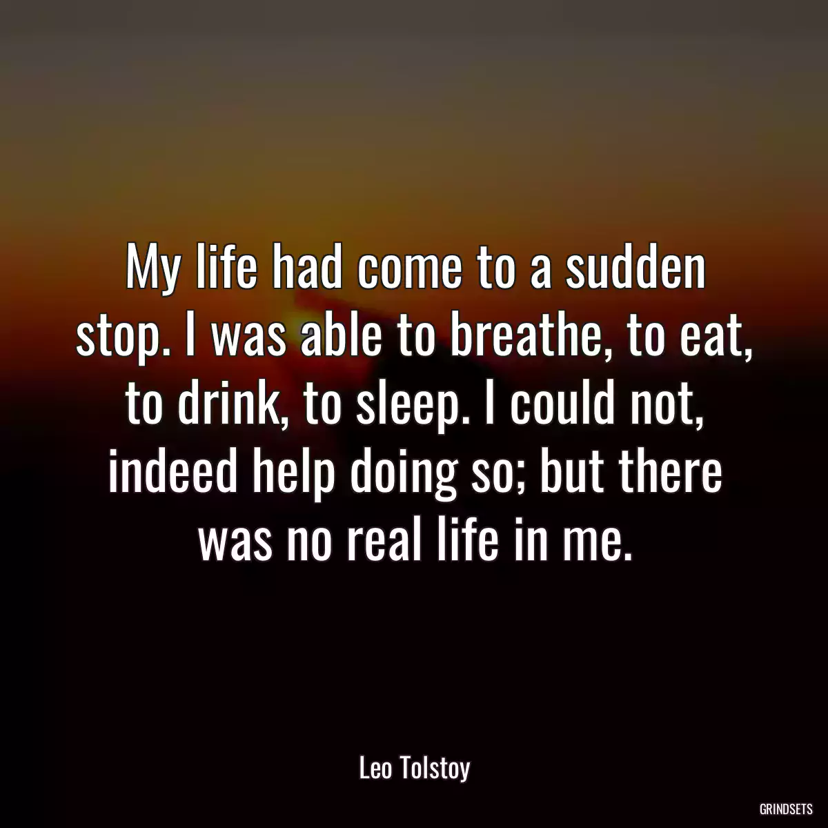 My life had come to a sudden stop. I was able to breathe, to eat, to drink, to sleep. I could not, indeed help doing so; but there was no real life in me.