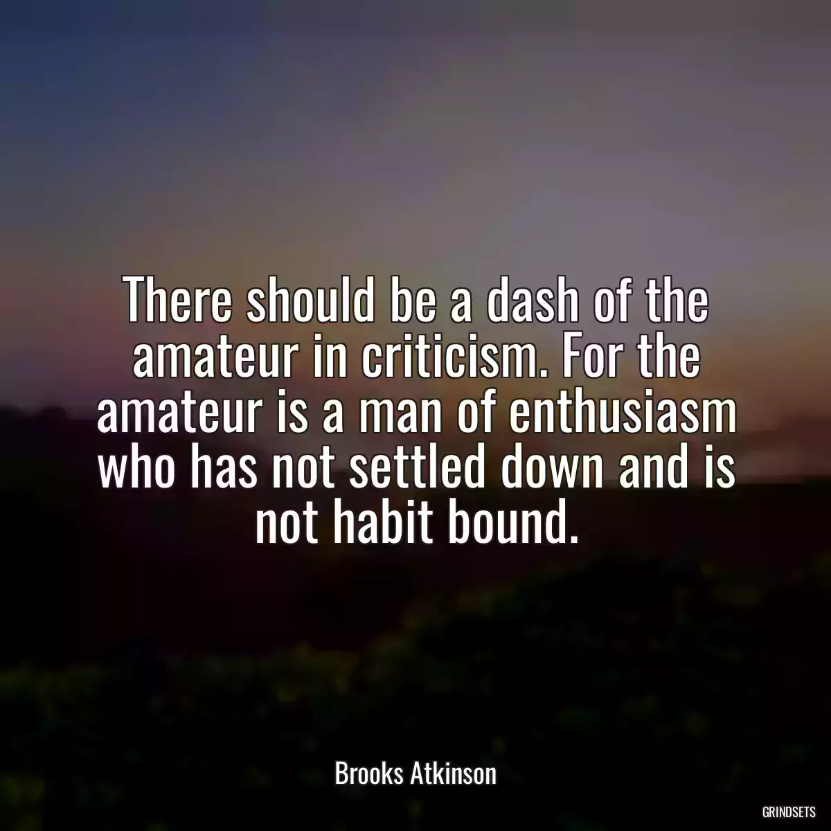 There should be a dash of the amateur in criticism. For the amateur is a man of enthusiasm who has not settled down and is not habit bound.