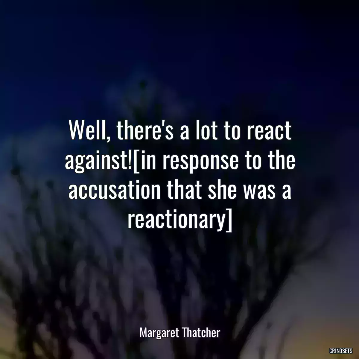 Well, there\'s a lot to react against![in response to the accusation that she was a reactionary]