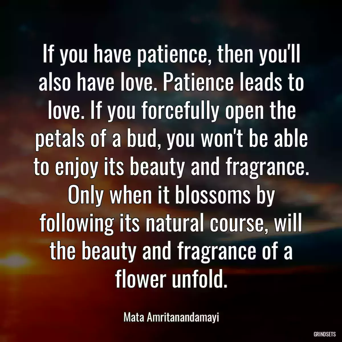 If you have patience, then you\'ll also have love. Patience leads to love. If you forcefully open the petals of a bud, you won\'t be able to enjoy its beauty and fragrance. Only when it blossoms by following its natural course, will the beauty and fragrance of a flower unfold.