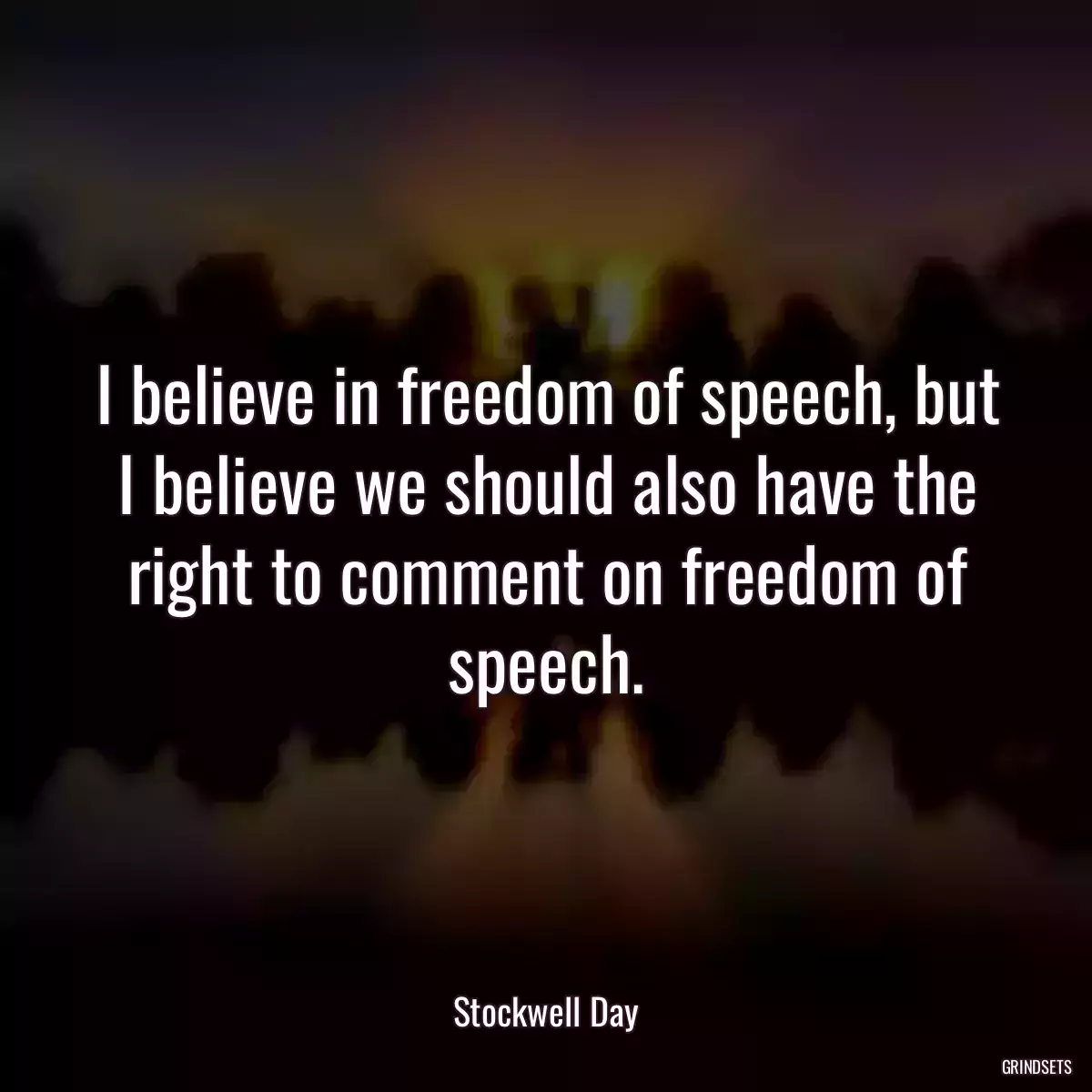 I believe in freedom of speech, but I believe we should also have the right to comment on freedom of speech.