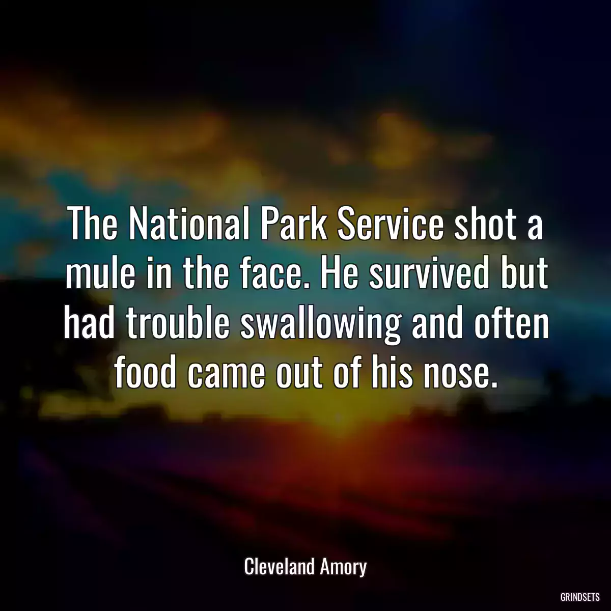 The National Park Service shot a mule in the face. He survived but had trouble swallowing and often food came out of his nose.