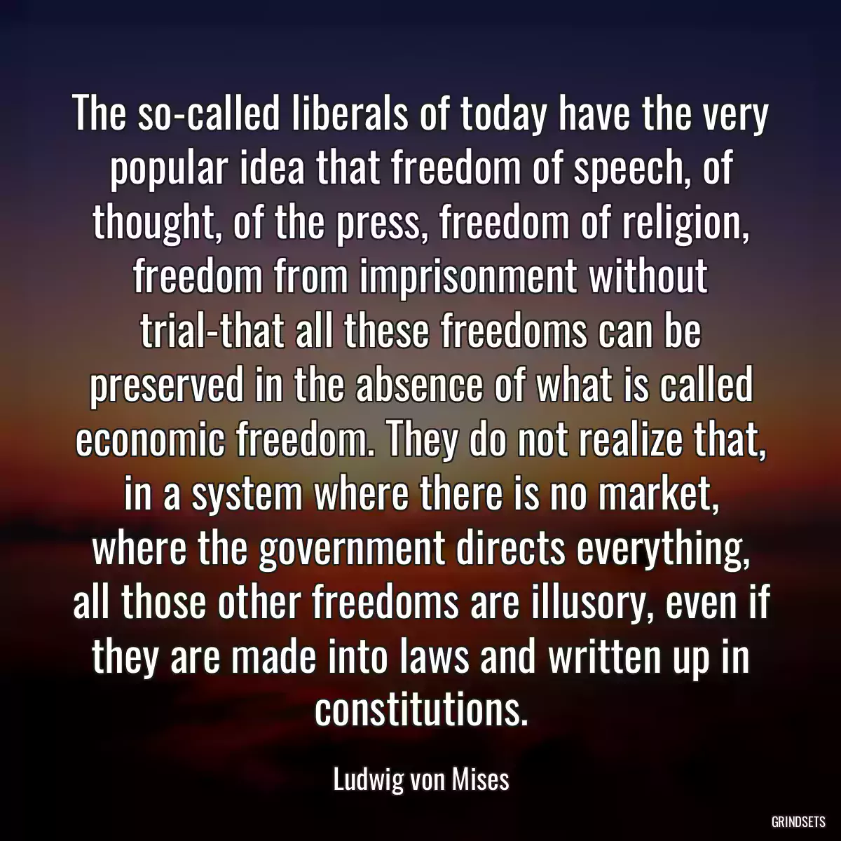 The so-called liberals of today have the very popular idea that freedom of speech, of thought, of the press, freedom of religion, freedom from imprisonment without trial-that all these freedoms can be preserved in the absence of what is called economic freedom. They do not realize that, in a system where there is no market, where the government directs everything, all those other freedoms are illusory, even if they are made into laws and written up in constitutions.