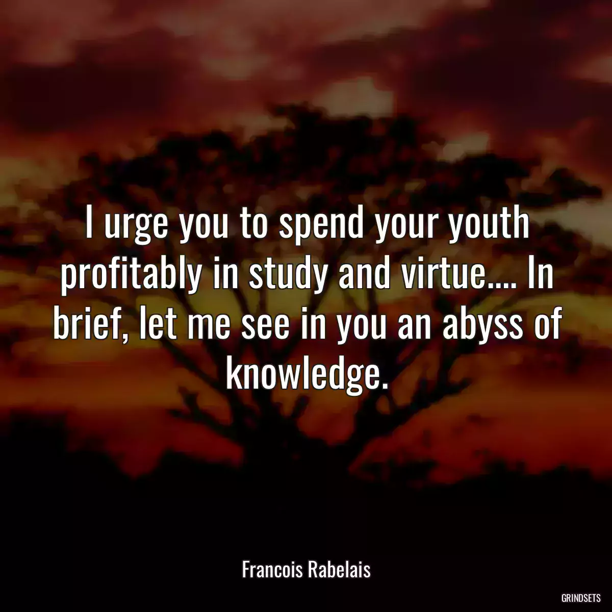 I urge you to spend your youth profitably in study and virtue.... In brief, let me see in you an abyss of knowledge.