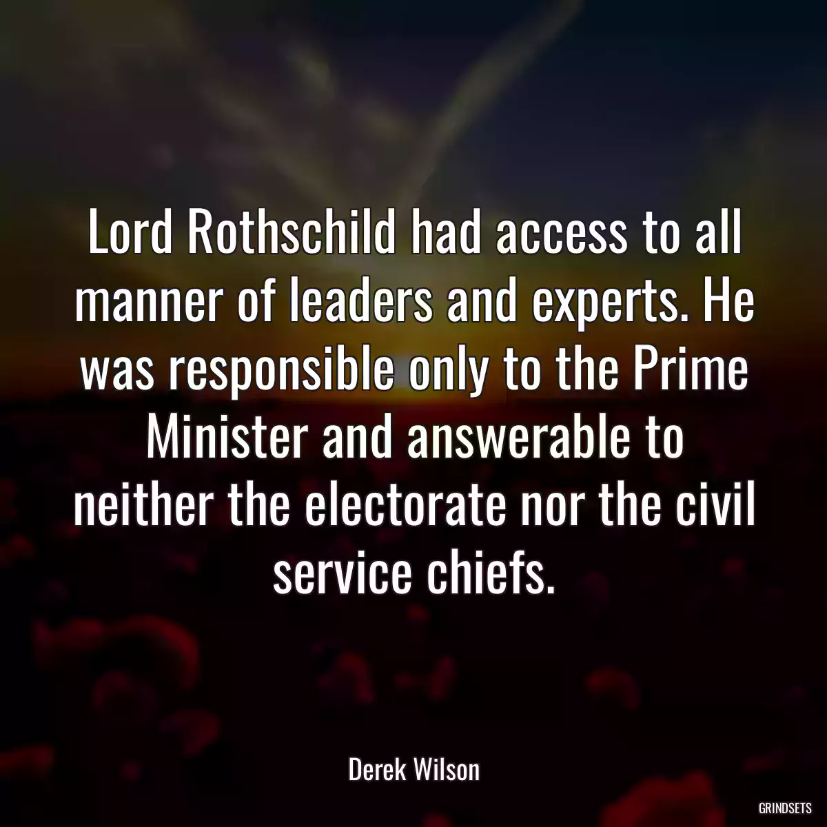 Lord Rothschild had access to all manner of leaders and experts. He was responsible only to the Prime Minister and answerable to neither the electorate nor the civil service chiefs.