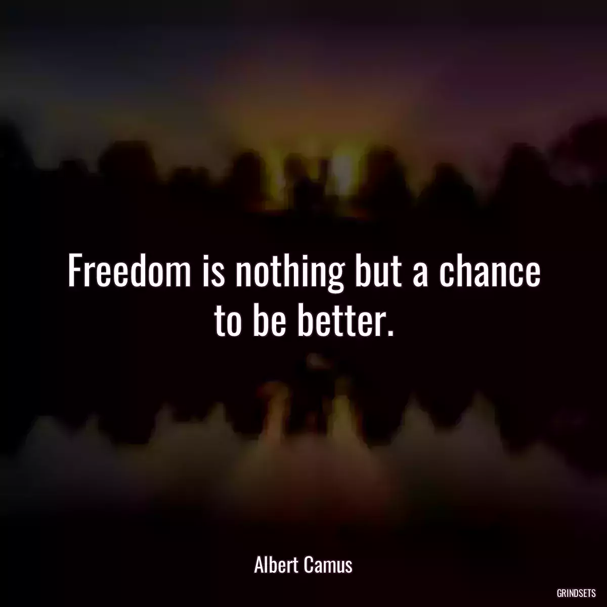 Freedom is nothing but a chance to be better.