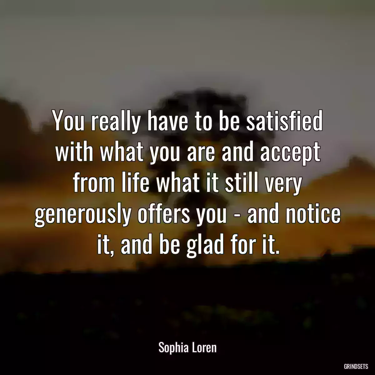 You really have to be satisfied with what you are and accept from life what it still very generously offers you - and notice it, and be glad for it.