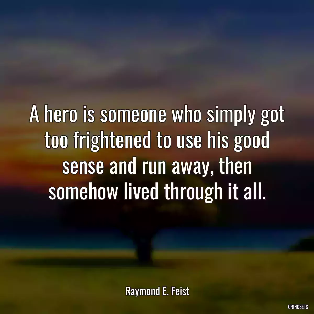 A hero is someone who simply got too frightened to use his good sense and run away, then somehow lived through it all.