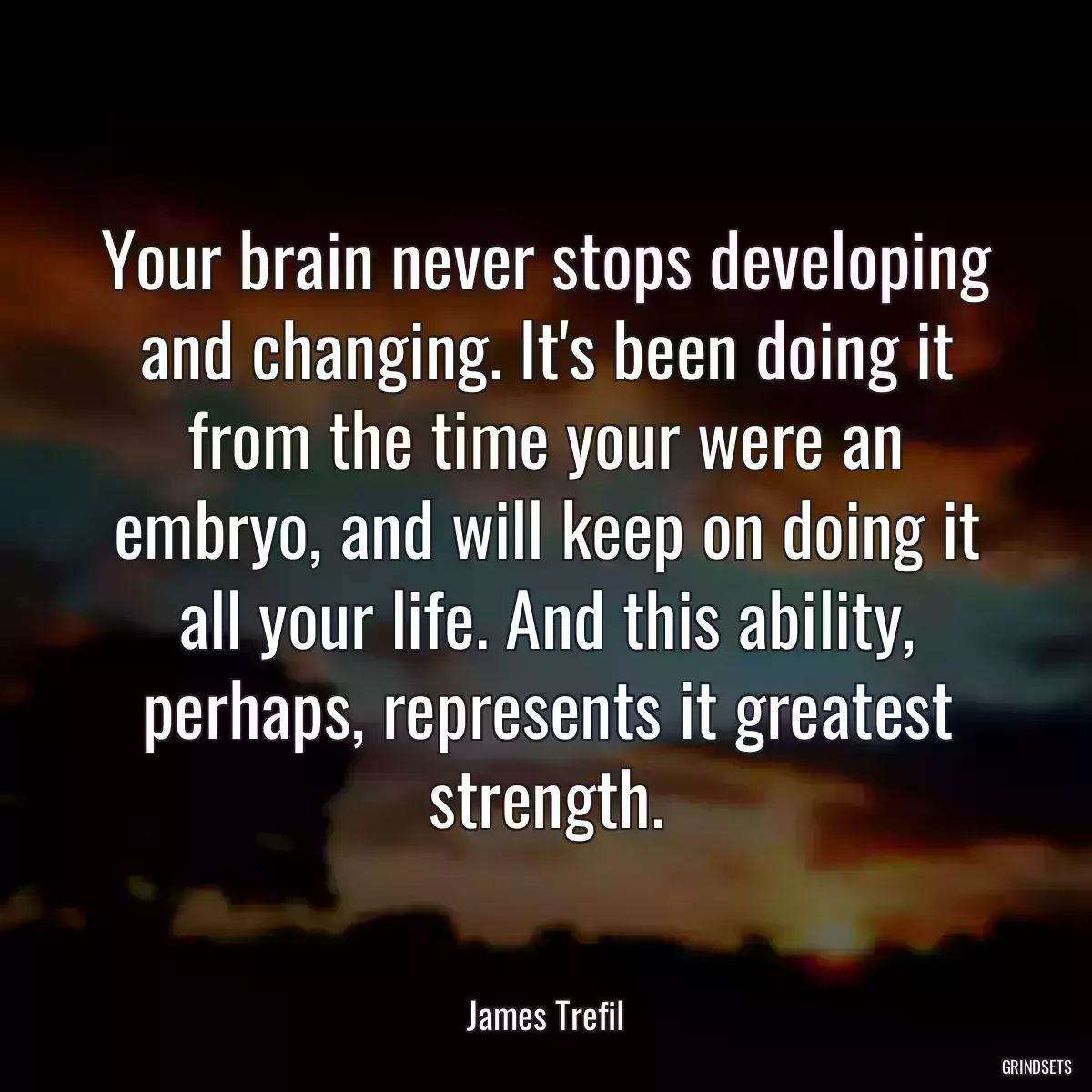 Your brain never stops developing and changing. It\'s been doing it from the time your were an embryo, and will keep on doing it all your life. And this ability, perhaps, represents it greatest strength.