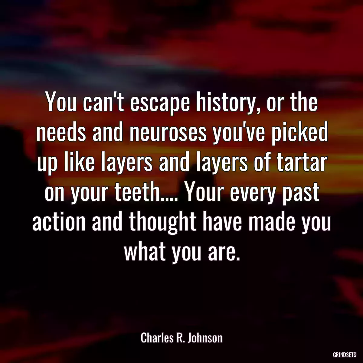 You can\'t escape history, or the needs and neuroses you\'ve picked up like layers and layers of tartar on your teeth.... Your every past action and thought have made you what you are.