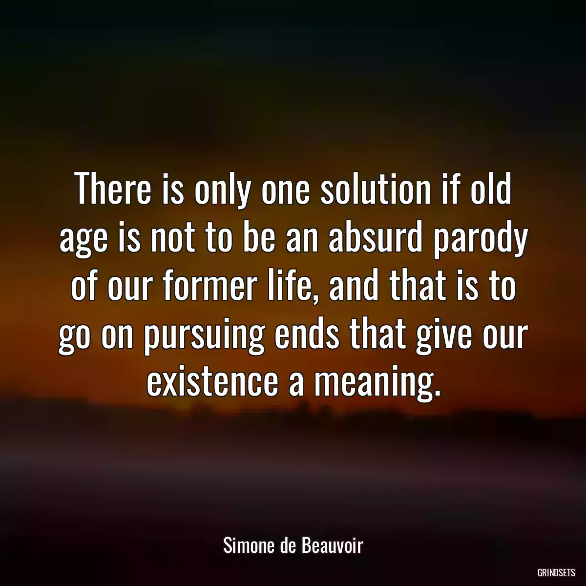 There is only one solution if old age is not to be an absurd parody of our former life, and that is to go on pursuing ends that give our existence a meaning.