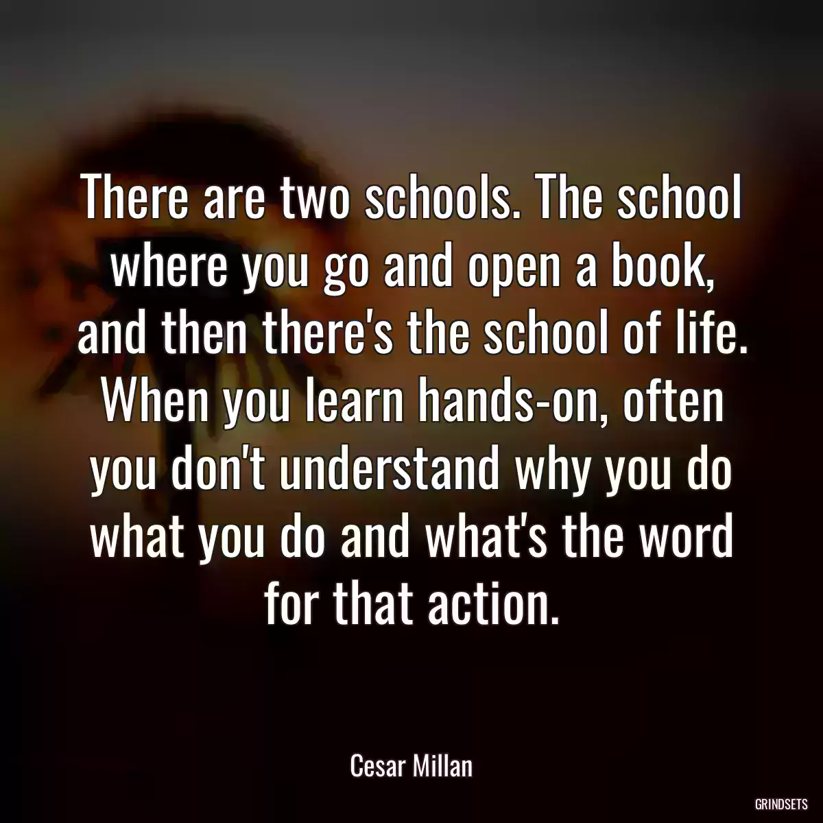 There are two schools. The school where you go and open a book, and then there\'s the school of life. When you learn hands-on, often you don\'t understand why you do what you do and what\'s the word for that action.