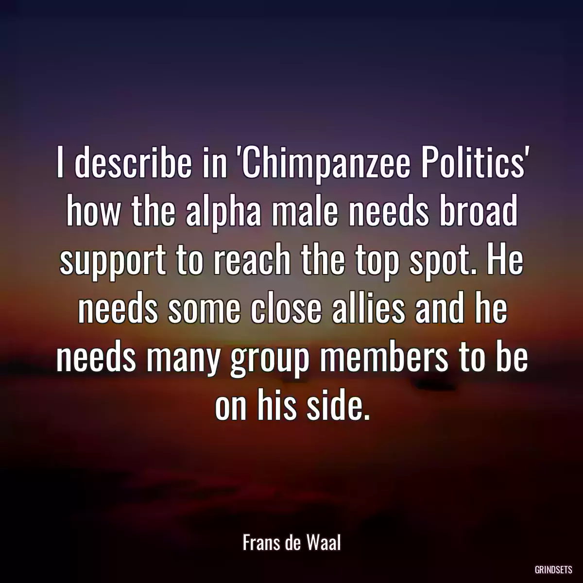 I describe in \'Chimpanzee Politics\' how the alpha male needs broad support to reach the top spot. He needs some close allies and he needs many group members to be on his side.