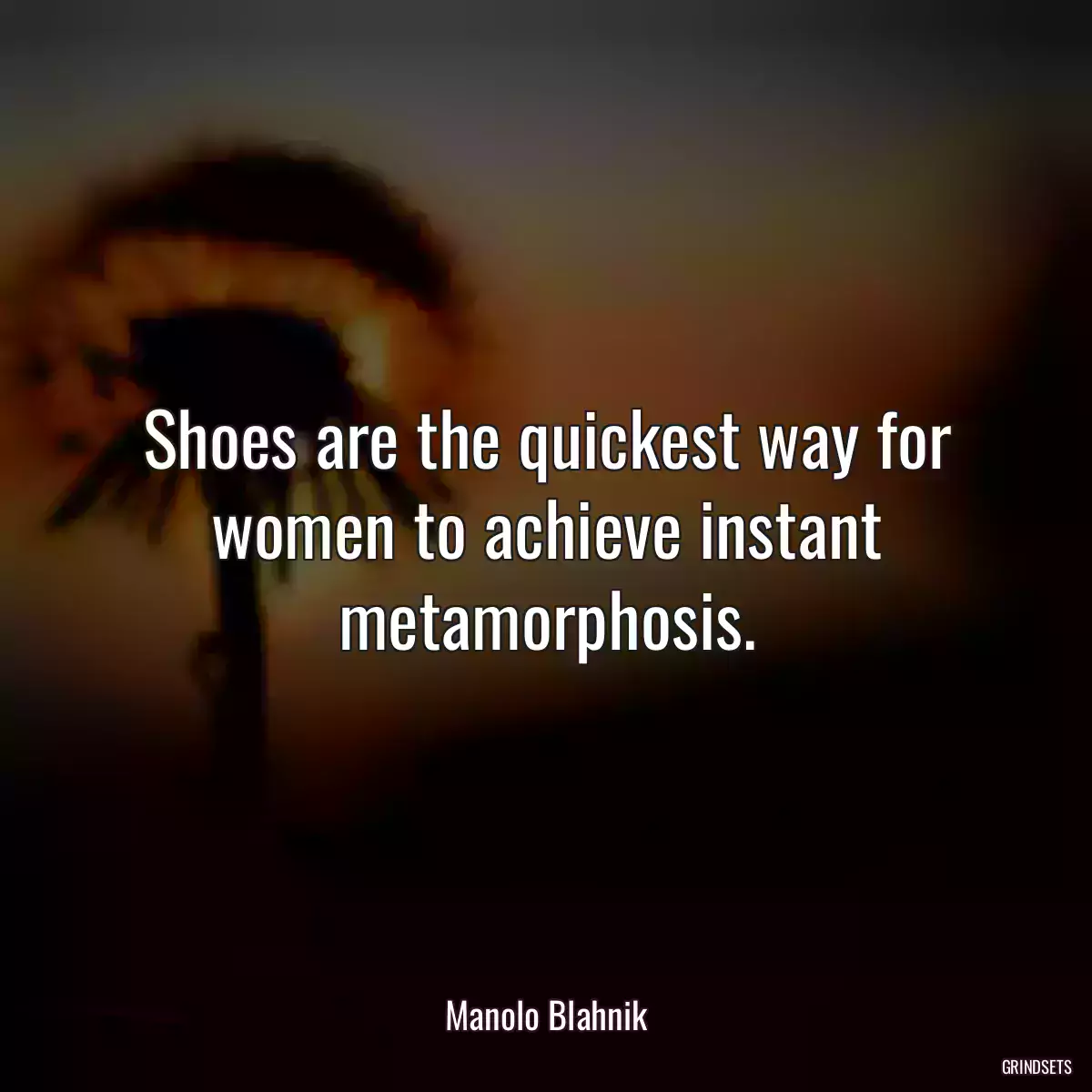 Shoes are the quickest way for women to achieve instant metamorphosis.