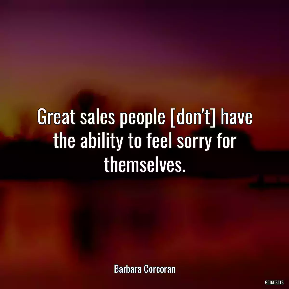 Great sales people [don\'t] have the ability to feel sorry for themselves.