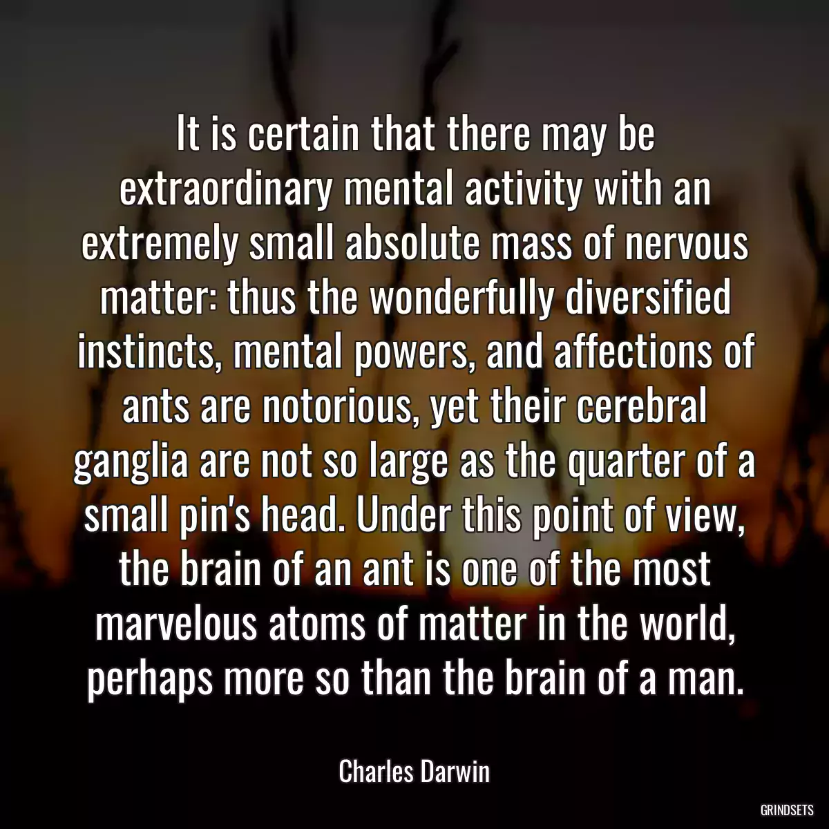 It is certain that there may be extraordinary mental activity with an extremely small absolute mass of nervous matter: thus the wonderfully diversified instincts, mental powers, and affections of ants are notorious, yet their cerebral ganglia are not so large as the quarter of a small pin\'s head. Under this point of view, the brain of an ant is one of the most marvelous atoms of matter in the world, perhaps more so than the brain of a man.